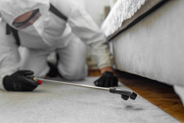Professional Termite Control technician working in Guymon, OK