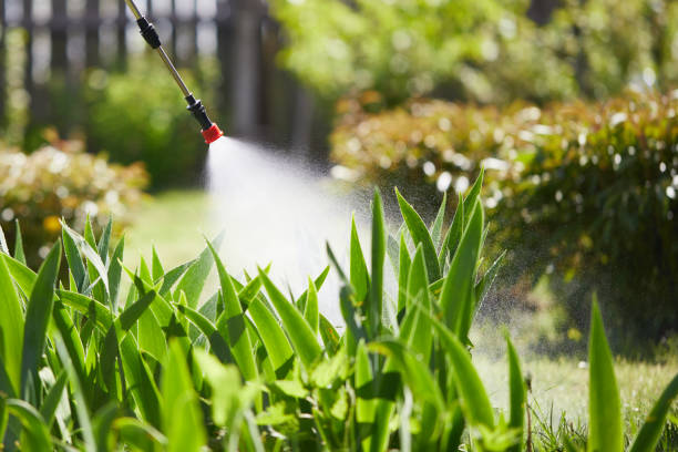 24/7 Emergency Termite Control experts in Guymon, OK