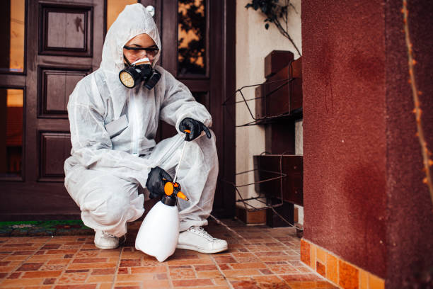 Reliable Termite Control contractor in Guymon, OK by Nex Pest Control